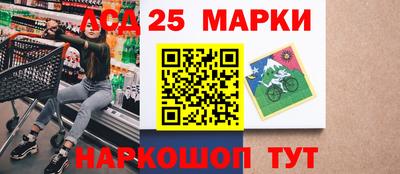 шишки Заволжье