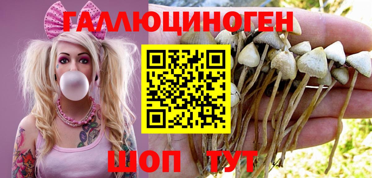 Галлюциногенные грибы Cubensis Мариинск
